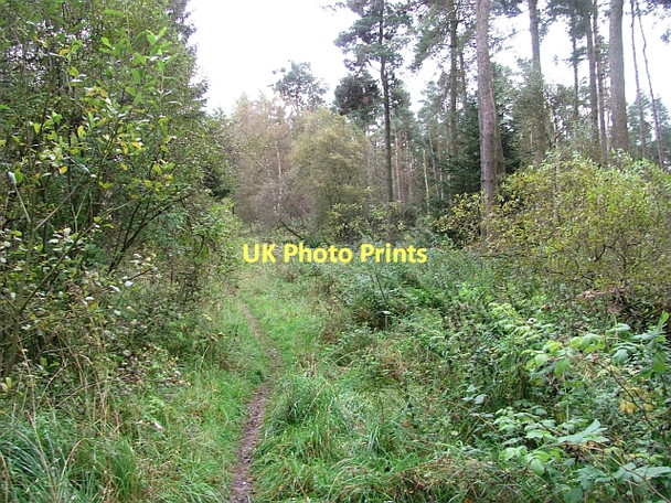 Photo 6"x4" Path, Beecraigs Linlithgow c2011