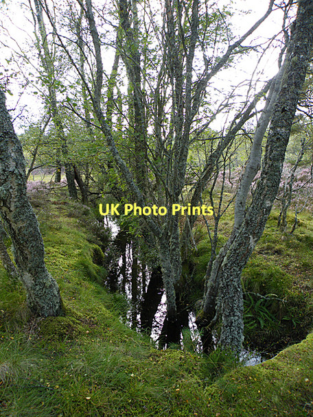 Photo 6"x4" Drainage Ditch Ordie\/NJ4501 c2011