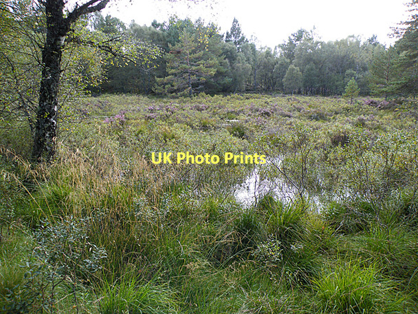 Photo 6"x4" Keep to the Path Ordie\/NJ4501 c2011