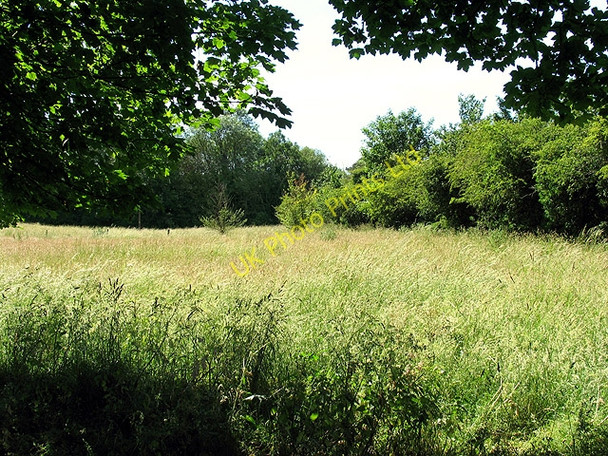 Photo 6"x4" Fallow field: Compton Compton\/SU5280 c2005