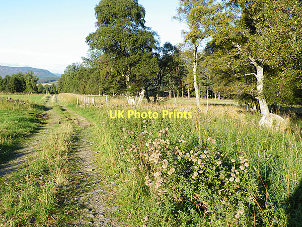 Photo 6"x4" Track near Clearfield Dinnet c2011
