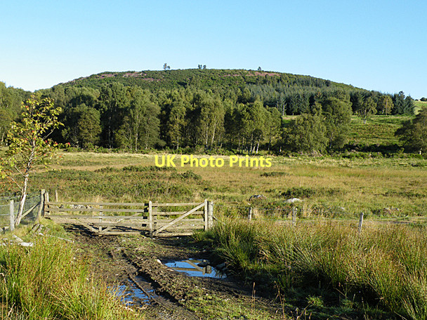 Photo 6"x4" Field Gate Dinnet c2011