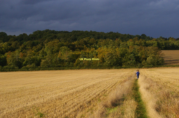 Photo 6"x4" After the harvest: heading north off the London Loop Orpington c2011