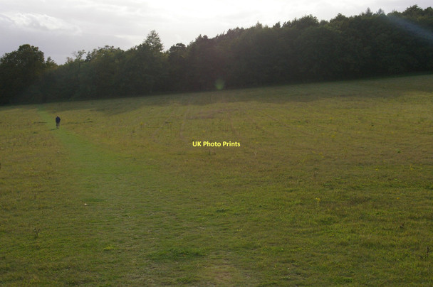 Photo 6"x4" Public footpath crossing fields south of Farnborough Orpington c2011