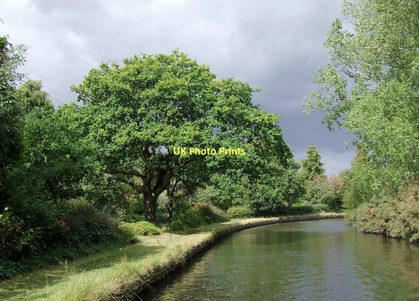 Photo 6"x4" Staffordshire and Worcestershire Canal at Four Ashes, Staffordshire Crateford\/SJ9009 c2011