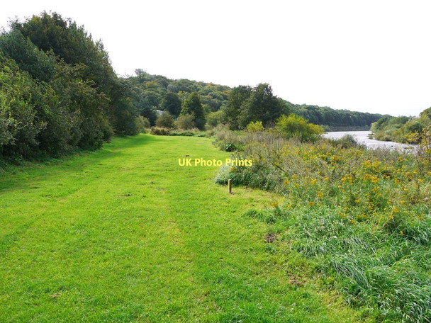 Photo 6"x4" Tyne Riverside Country Park west of Ovingham Bridge Prudhoe c2011