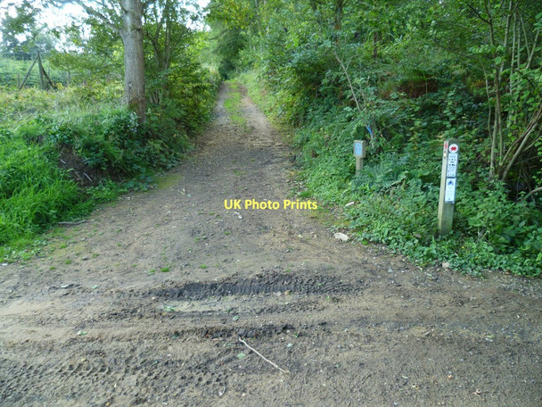Photo 6"x4" Footpath crosses Madgehole Lane Farley Green\/TQ0645 c2011