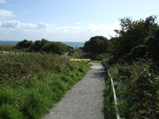 Photo 6"x4" Path towards cliff top at South Landing Flamborough c2011