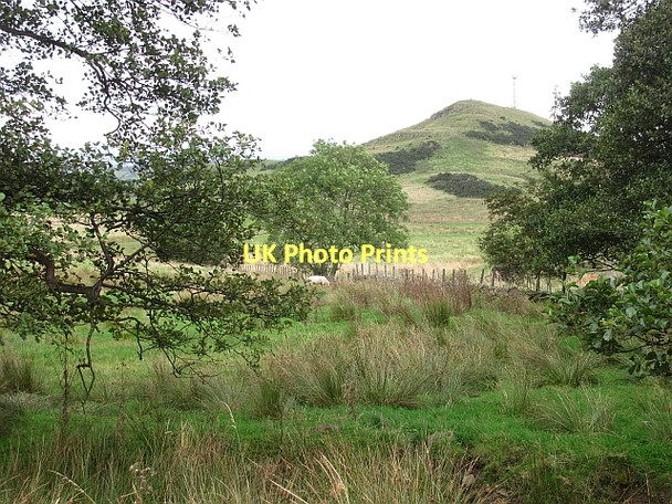 Photo 6"x4" Damp grassland Fankerton c2011