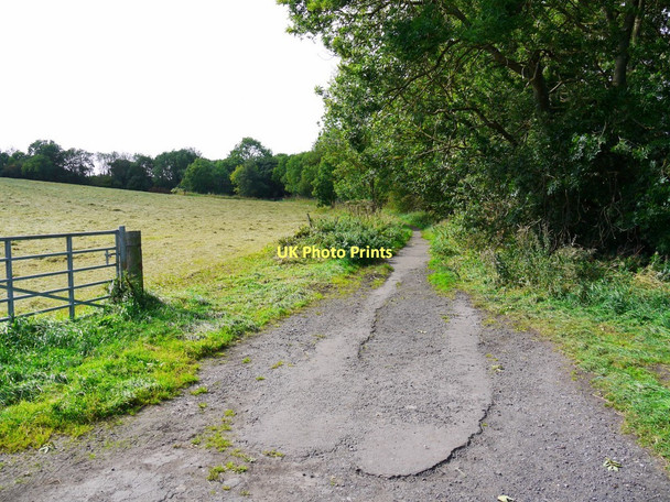 Photo 6"x4" Byway to Eltringham Prudhoe c2011