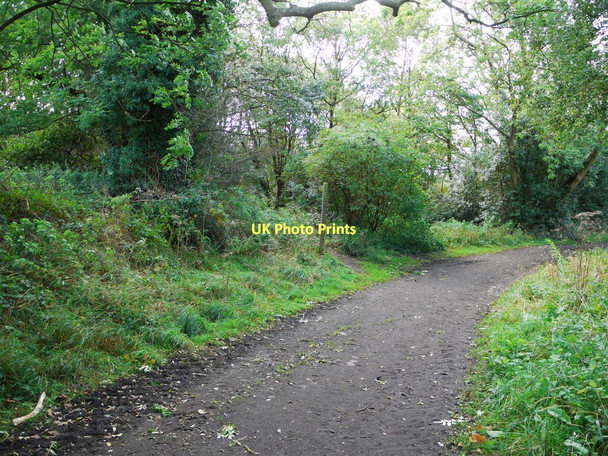 Photo 6"x4" Byway to Eltringham Prudhoe c2011