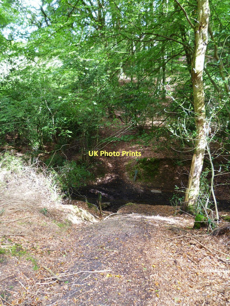 Photo 6"x4" Steep descent in Winterfold Wood Farley Green\/TQ0645 c2011