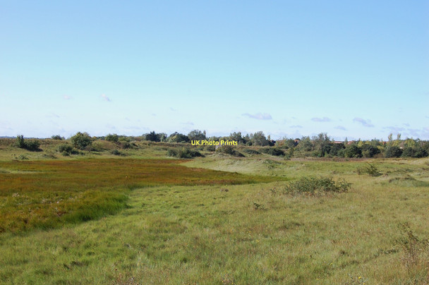Photo 6"x4" Dry Marsh Brandy Hole c2011