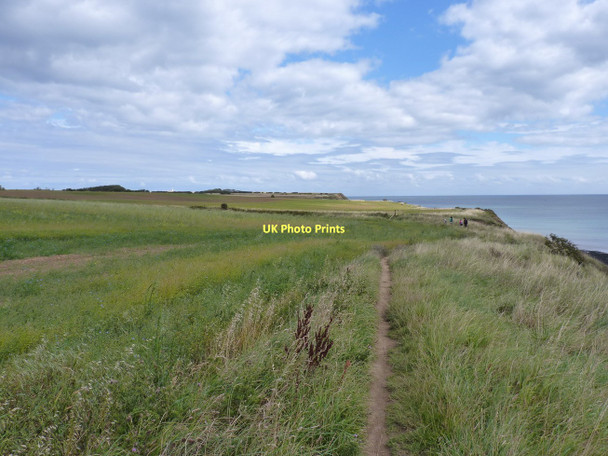 Photo 6"x4" Along the Headland Way at East Nook Flamborough c2011