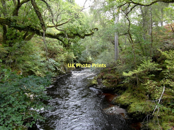 Photo 6"x4" Allt Doe Fort Augustus c2011