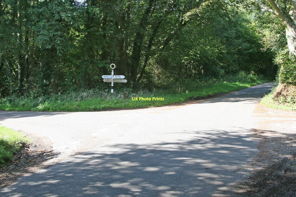 Photo 6"x4" West Meon Woodlands, Hampshire West Meon Woodlands c2011