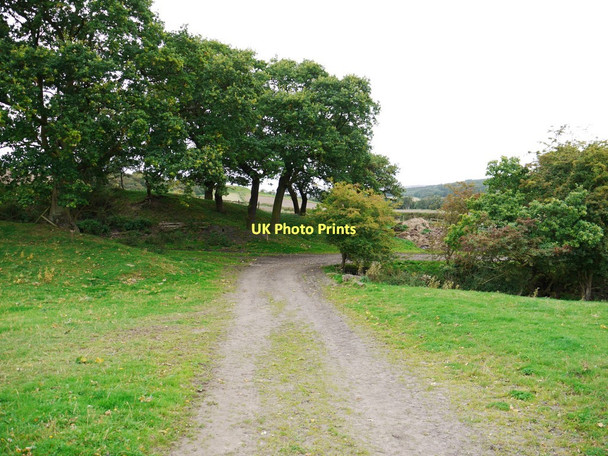 Photo 6"x4" Track west of Eltringham Farm Prudhoe c2011