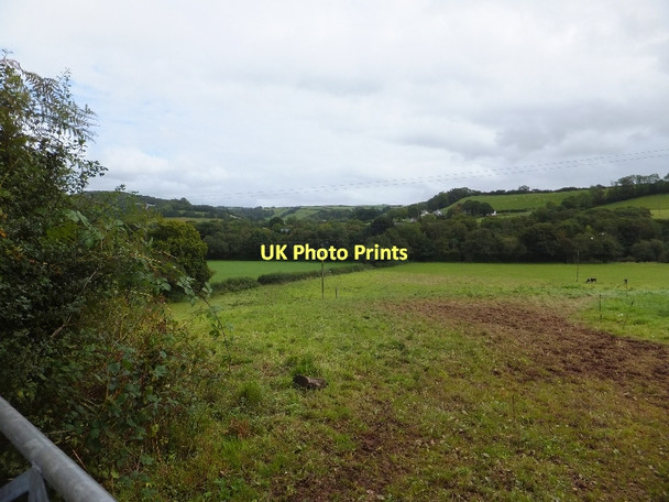 Photo 6"x4" Fields between Hazels Cross and River Exe Cove\/SS9519 c2011