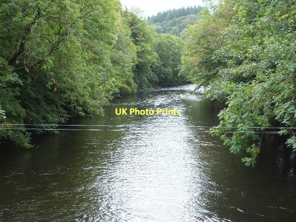 Photo 6"x4" River Exe below Iron Bridge Cove\/SS9519 c2011