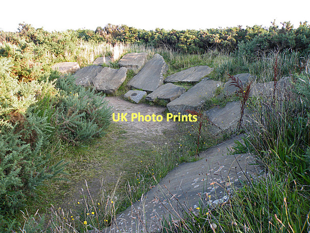 Photo 6"x4" Trackways Display Duffus c2011