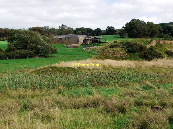 Photo 6"x4" Merryshield Common Branch End c2011