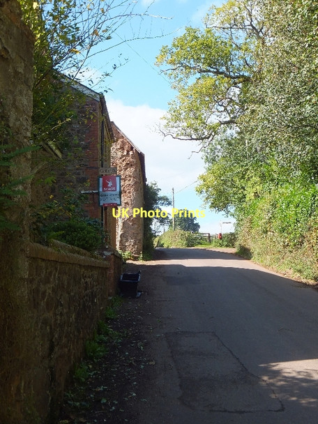 Photo 6"x4" The road through Cotleigh Tiverton\/SS9512 c2011