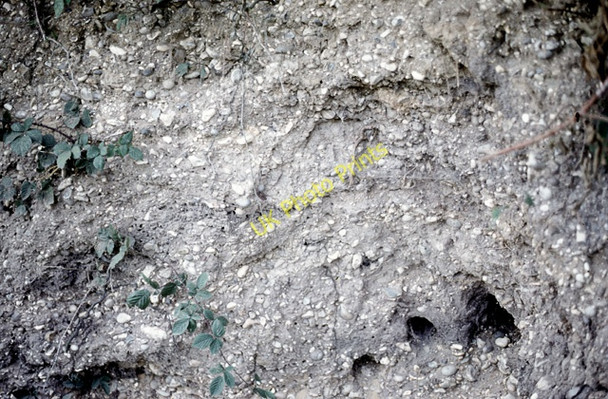Photo 6"x4" Pebble gravel, Fingringhoe Wick nature reserve South Green\/TM0319 c1987