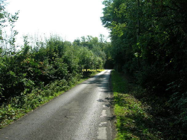 Photo 6"x4" Common Lane Burghwallis c2011