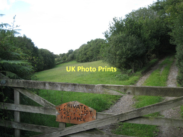 Photo 6"x4" Track up a hillside Hennock c2011