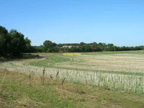 Photo 6"x4" Farmland near Campsmount Home Farm Campsall c2011