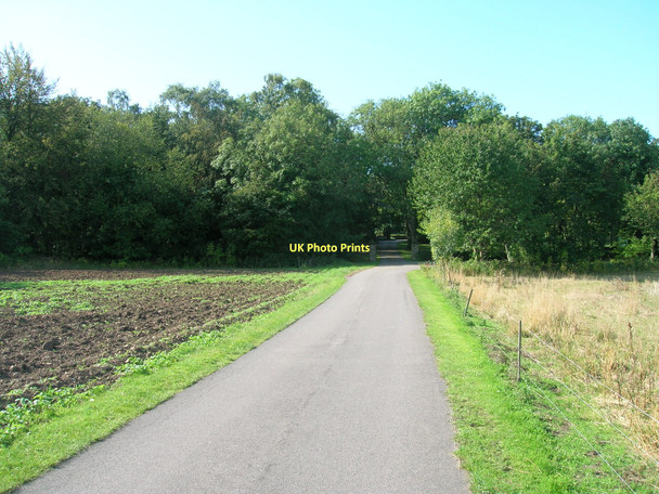 Photo 6"x4" Track to Campsmount Home Farm Campsall c2011