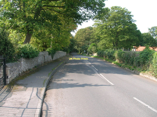 Photo 6"x4" Bank Wood Road towards Darrington Stapleton\/SE5119 c2011