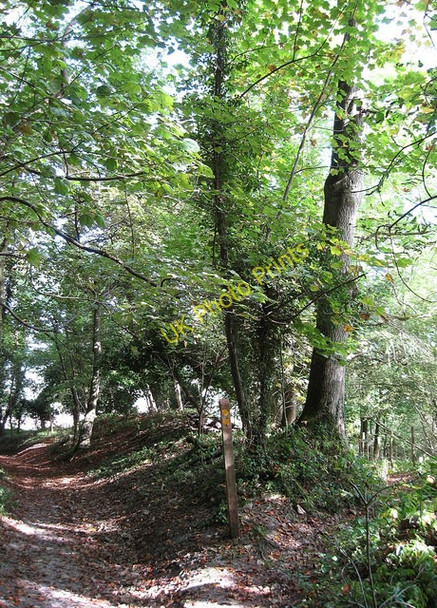 Photo 6"x4" Footpath Junction, The Beeches Plumpton\/TQ3613 c2009