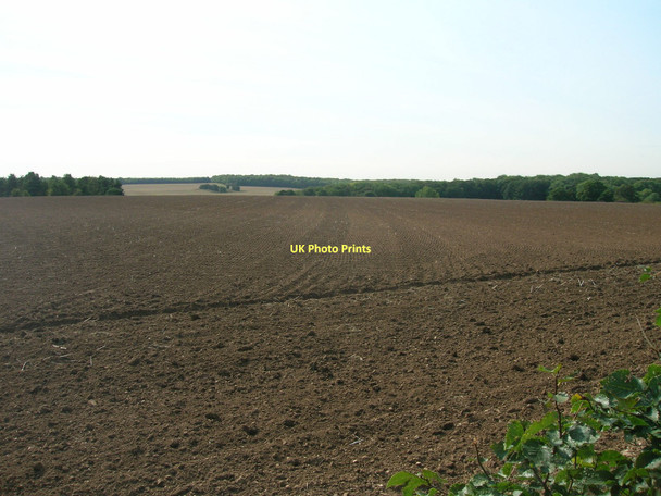Photo 6"x4" Farmland off Bank Wood Road Stapleton\/SE5119 c2011