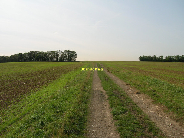 Photo 6"x4" Farm track, Stapleton Park Stapleton\/SE5119 c2011