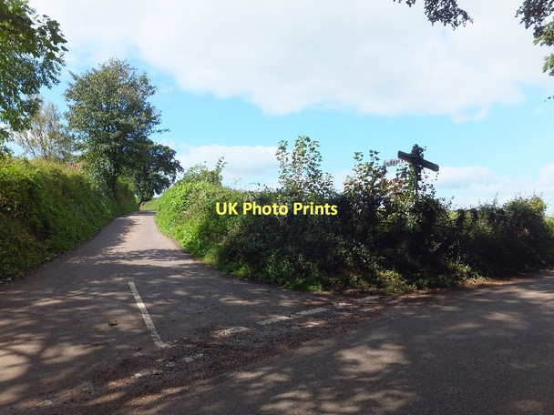 Photo 6"x4" Warren Cross Tiverton\/SS9512 c2011
