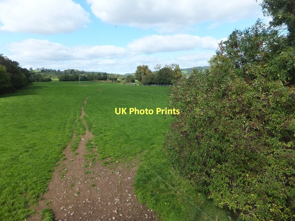 Photo 6"x4" Field beside Exe north of Kennedy Way Tiverton\/SS9512 c2011