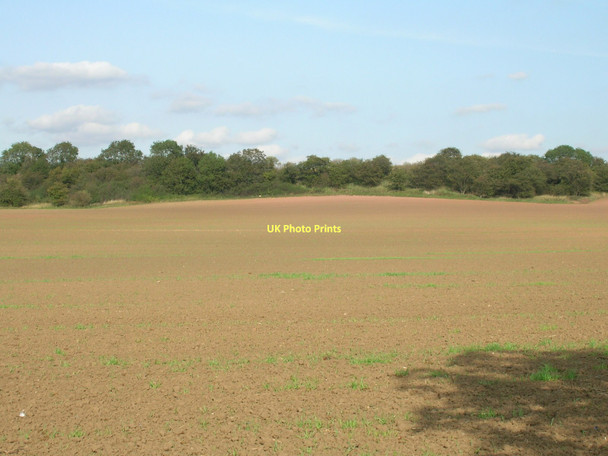 Photo 6"x4" Farmland off the A639 Wrangbrook c2011