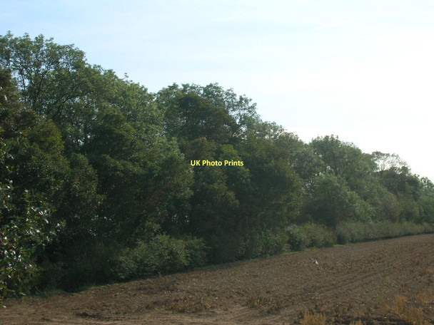 Photo 6"x4" Woodland off the A639 Wrangbrook c2011