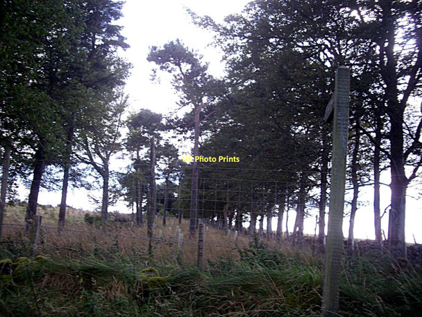 Photo 6"x4" An impeded footpath near Dunnydeer Insch\/NJ6328 c2011