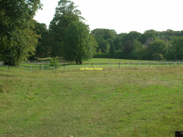 Photo 6"x4" Grazing land off Bannister Lane Skelbrooke c2011