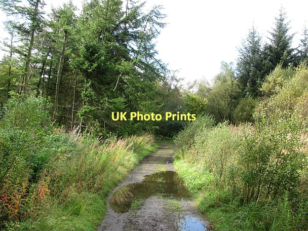 Photo 6"x4" Road, Beecraigs Linlithgow c2011