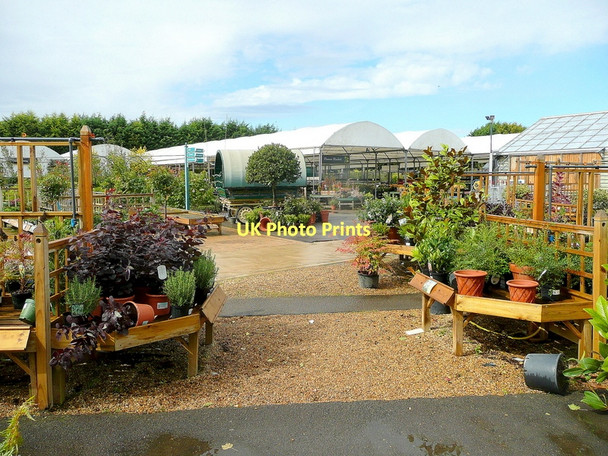 Photo 6"x4" Burford Garden Company Burford\/SP2512 c2011