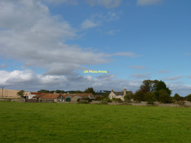 Photo 6"x4" Balmakin Farm Colinsburgh c2011