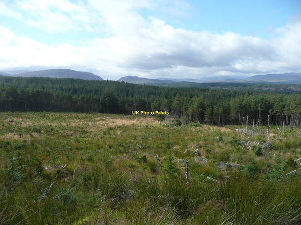 Photo 6"x4" Young and mature trees in Rannoch Forest Creagan na C\u00f2rr c2011