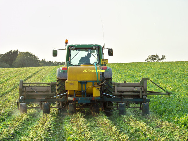 Photo 6"x4" Topping Potato Haulm Lambden c2011
