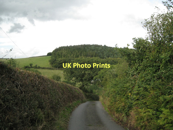 Photo 6"x4" Waye Down plantation from above Shuttamoor  Bennah c2011