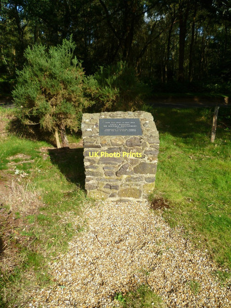 Photo 6"x4" Memorial in sports ground on Albury Heath Albury\/TQ0547 c2011