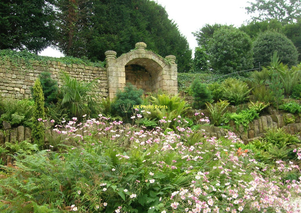 Photo 6"x4" Fern Dell, Brodsworth Hall Brodsworth c2008