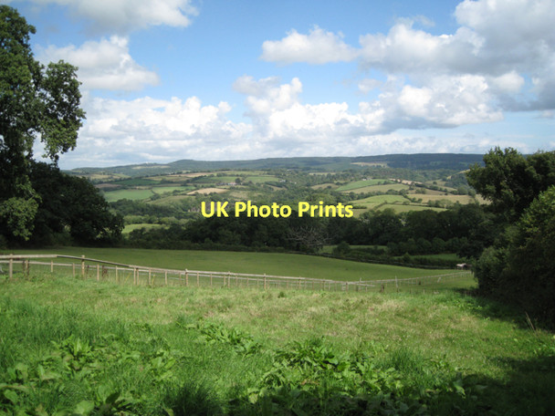 Photo 6"x4" Paddock below Hennock  Hennock c2011